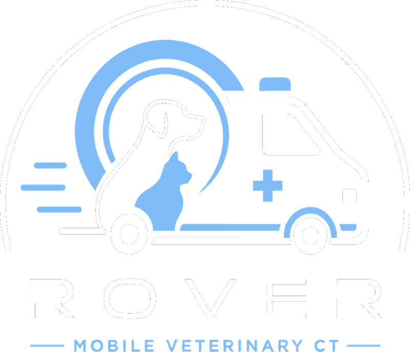 Rover — mobile veterinary CT