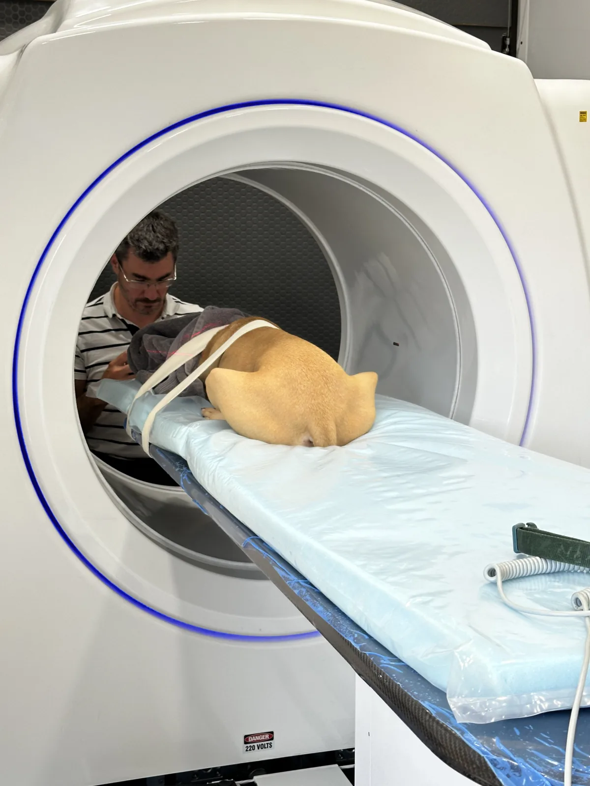 A sedated dog positioned on the scanner table at the mouth of the CT bore