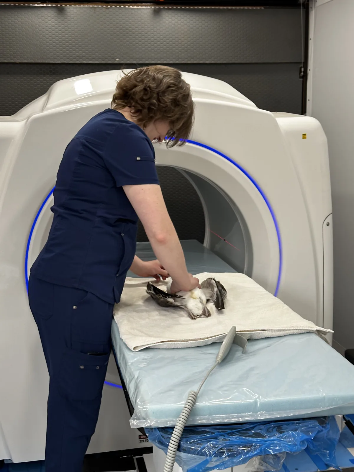 A technician preparing a patient at the scanner inside the mobile unit