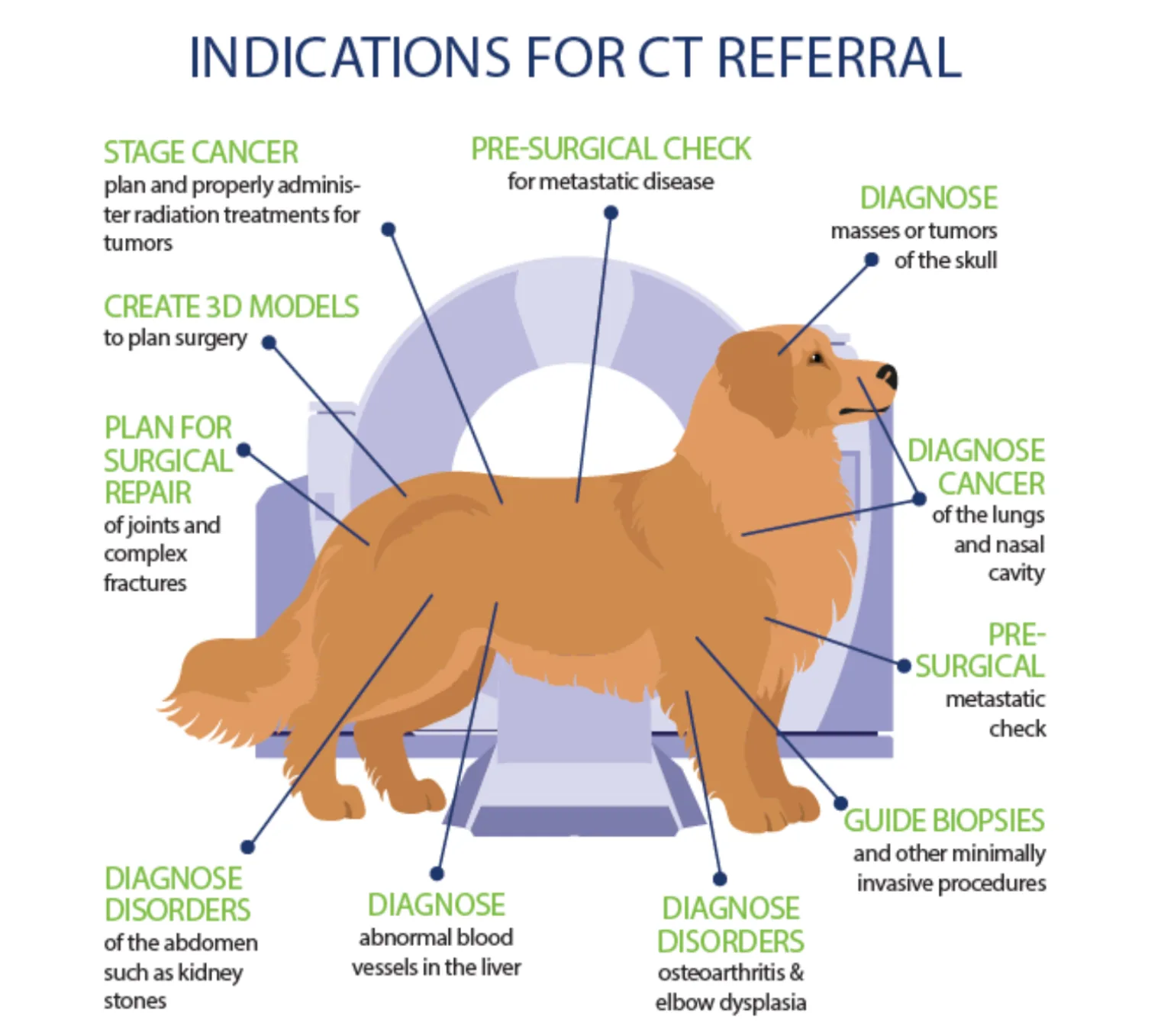 Indications for CT referral: a diagram of a dog labelled with what a CT scan is used to diagnose, including cancer staging, surgical planning, 3D models, abdominal disorders, and joint and elbow disease