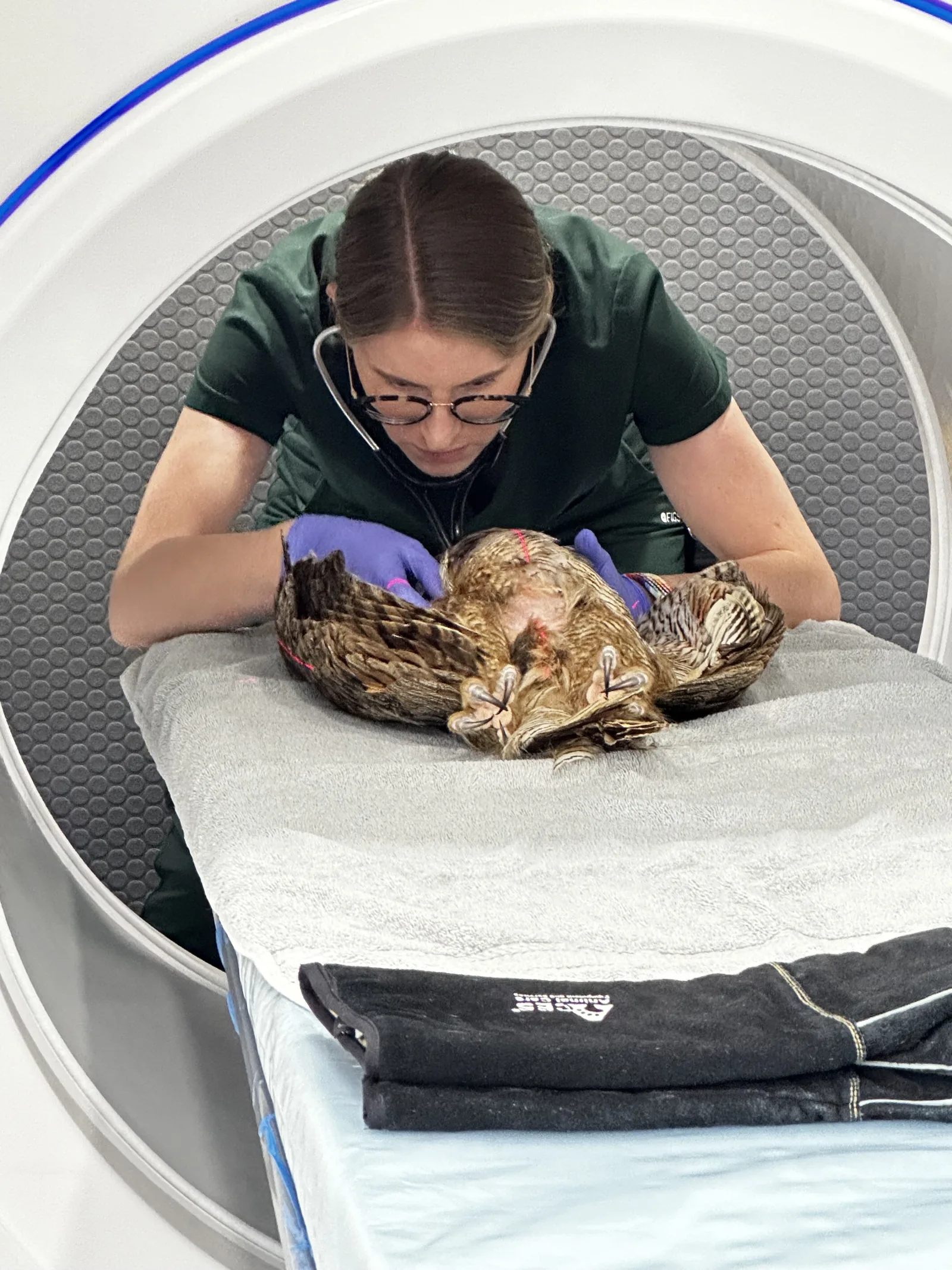 A technologist positioning a hawk on the scanner table inside the mobile unit